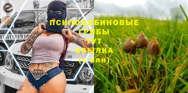 а пвп мука Мегион